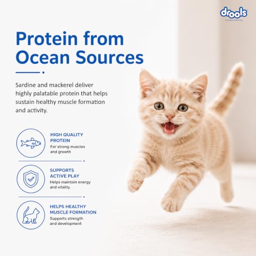 Image of Drools Kitten Dry Cat Food 1.2kg | Ocean Fish Flavour | Promotes Soft Skin & Shiny Coat | Complete Nutrition | Supports Digestion | Aids Growth Development