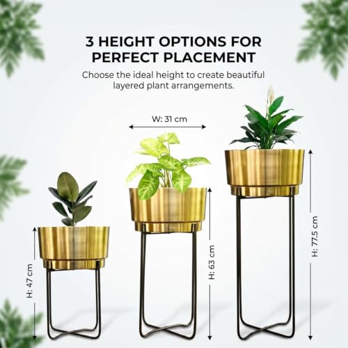 Image of TrustBasket Creata Strong Durable Premium Set of 3 (Gold) Planters for Home Decor - Plant Pots for Home Decor, Indoor Plants Stand for Living Room, Planters for Indoor Plants, Pot for Living Room
