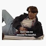 Boy Meets World Eric Dont Hate Me Bc Im Beautiful Quote Sticker Decal Vinyl Bumper Sticker Decal Waterproof 5'