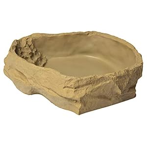 sera reptil food/water dish L – voeder- en drinkschaal voor reptielen en amfibieën, beige, large