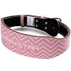 Weight Belts, Fitness Belt, Double ...