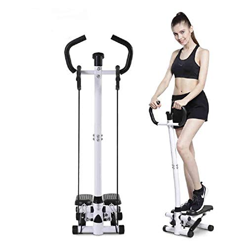 ZZTWO Fitness Mini Stepper Training Device 2-in-1 Twister Stepper Silent Adjustable Side Stepper