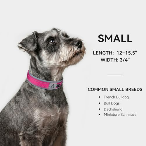 Image of Joytale Dog Collar for Small Dogs, Neoprene Padded and Adjustable, Reflective Wide Heavy Duty Pet Collars with Durable Metal Belt Buckle for Walking, Hotpink, S