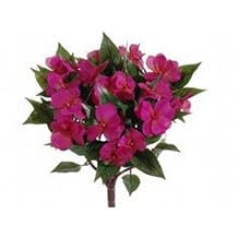 13.7 in. New Guinea Impatiens Bushes Beauty- Case of 6