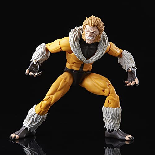 Marvel Legends Series X-Men Sabretooth Action Figure 6-Inch Collectible Toy, 3 Build-A-Figure Part #TOP4