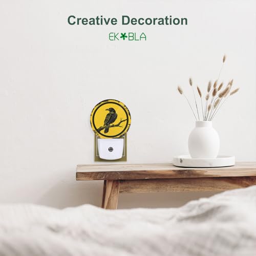 Image of EKOBLA Raven Night Light, Black Bird Crow on Branch Halloween Night Lights Plug Into Wall with Auto Sensor for Home