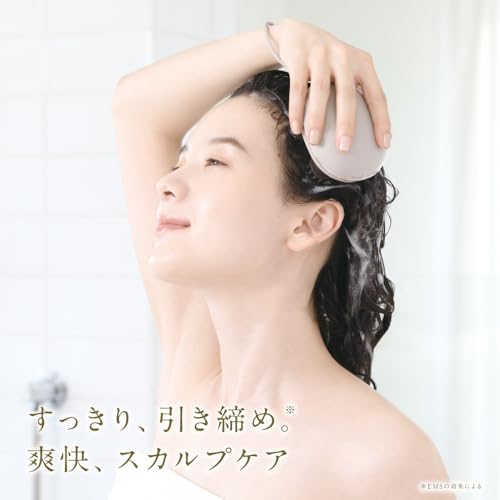 FESTINO フェスティノ EMSヘッドスパ ミニ SMHB-045 の商品画像 1