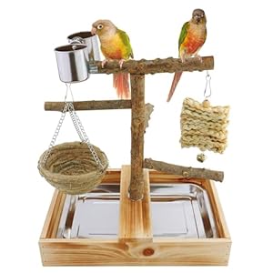 Mogoko Natural Bird Playground Bird Perches, Bird Cage Accessories, Bird Toys Playground, Bird Perch Stand Parrot Stand, Includes 2 Stainless Steel Cups and Removable Tray