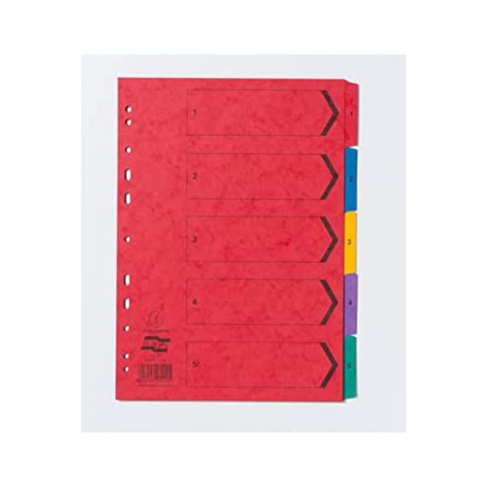 Intercalaires A4 Exacompta 5 onglets pour structurer vos dossiers de cours - 7