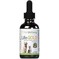 Pet Wellbeing - Life Gold For Dogs - Natural Cancer Support For Dogs - 2 Ounce 59 Milliliter