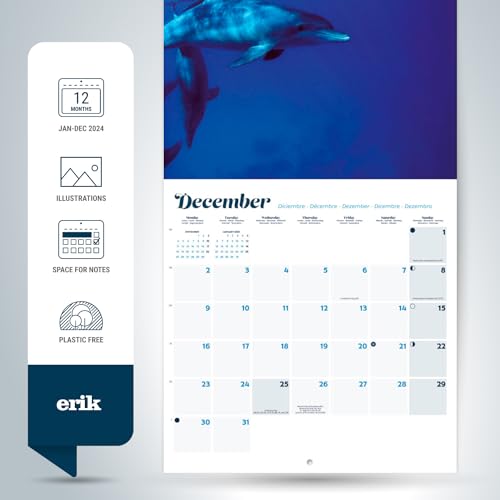 Grupo Erik Dolphins Wall Calendar 2024 12" x 12" - Image 3