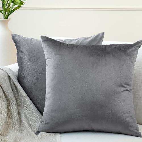 Encasa XO Housses de Coussin Velours, Set de 2 pièces (40x40 cm) - Gris - Teinture Couleur Unie, Doux et Moelleux, Lavable, Grand Coussin décoratif carré...