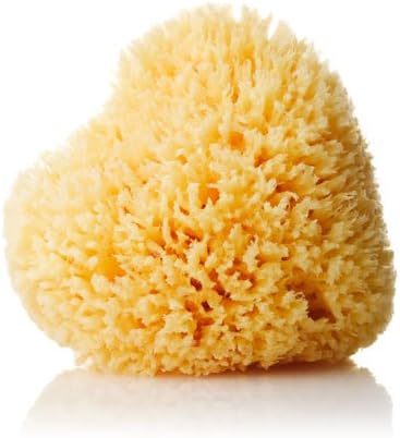 Natural Honeycomb Sea Sponge (Medium 5-5.5 Inch)