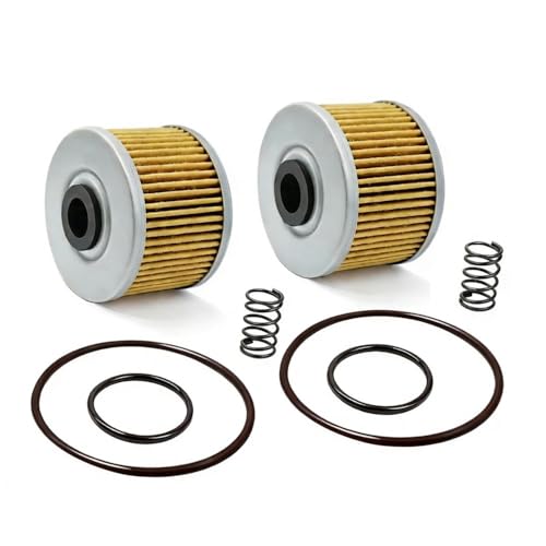 Kit de remplacement de filtre à huile KLX110L idéal pour vos sorties tout-terrain 2010-2025