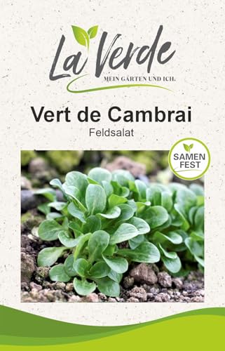 La Verde MEIN GARTEN UND ICH. Vert de Cambrai Feldsalat Samen für ca. 1.000 Pflanzen, Blattgemüse, winterhart, Saatgut ohne Gentechnik
