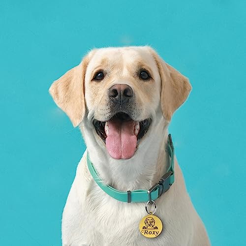 Dog Tags Personalized for Pets Dog Name Tags Personalized Custom Dog Tag Stainless Steel Dog ID Tags for Puppy Dogs (Silver S, Round) - Thumbnail 5