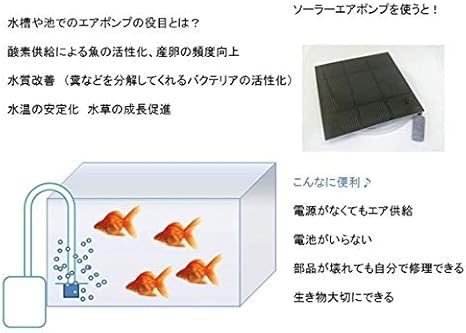 Amazon Wingsolar 電源不要 朝 晩まで動く 春夏秋冬 ハイブリッド ソーラー エアポンプ 自動on Off エアーポンプ Wingsolar スポーツ アウトドア