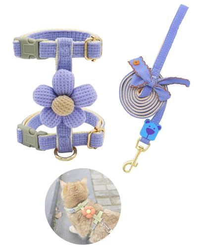 Tibemi ́[˂^ ^ L [h n[lX Ȃ lR n[lX "H"^ܖԌ [hn[lX L Up n[lX TCY\̂ɃtBbgĉK /Lʗp ϋv Eh~ [vS150c EȒPo|u