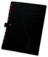 Pasta Sanfonada Catalogo A4 com 5 Divisórias Organizador de Documentos Neon Escritorio Escola Arquivo Papel Sulfite (Rosa)
