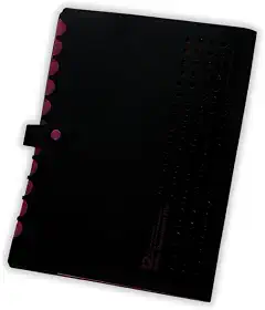 Pasta Sanfonada Catalogo A4 com 5 Divisórias Organizador de Documentos Neon Escritorio Escola Arquivo Papel Sulfite (Rosa)