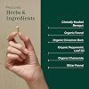 GAIA HERBS PRO GI-BFF Digestive Health Support Supplement - GI Health Supplement with Organic Fennel & Cinnamon Bark - Benegut for Occasional Gas & Bloating* - 60 Capsules (60 Servings)