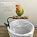 Bird Perch Stand,Adjustable & Portable Parrot Stands, Movable Perch Stand Bird Training Set, for Cockatiels, Conures, Lovebirds and Medium & Small Parrots
