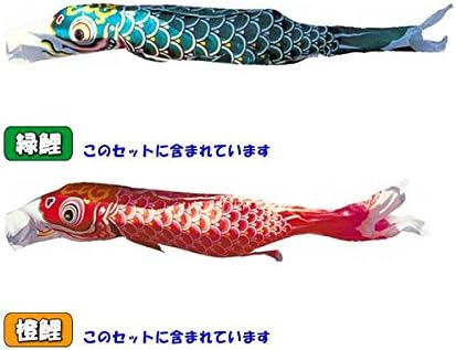 ワタナベ 錦鯉 ノーマルセット 羽衣錦鯉 ６ｍ５匹 【髙松】 五色吹流し 139600126