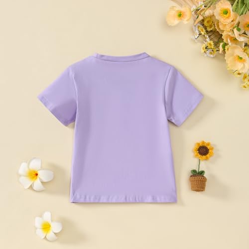 Image of Little Girl Shirts Big Sister Tee Shirt Top Summer Short Sleeve Clothes 2-7 Years