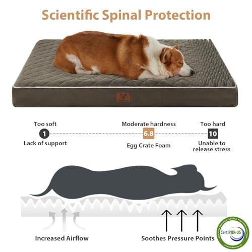 Image of WNPETHOME Orthopedic Giant Dog Beds Large Sized Dog, Waterproof Extra Large Dogs Bed with Removable Washable Cover, Multi-Needle Quilting Dogs Crate Bed