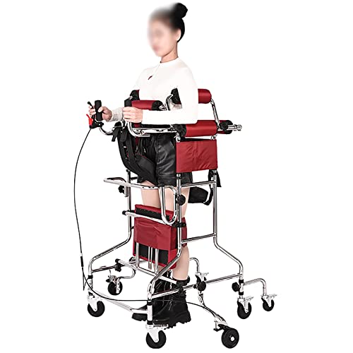 Walkers for Seniors, 8 Wheels Hemiplegia Rehabilitation Standing Frame Adult Walker Walking Aid for The Disabled, Portable Medical Walker Applicable Height 59~71inch (Color : Women, Size : with Hand