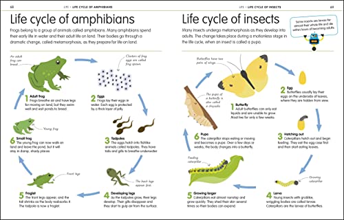 How to Be Good at Science, Technology, and Engineering