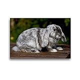 HD Bildqualität: Faksmimilequalität auf Spezial-Leinwand. Der verwendete Bedruckstoff ist eine speziell für uns produzierter, besonders fein gewebter, dimensionsstabile Kunstgewebe-Leinwand. Thermo-Sublimationsdruck überzeugt bezüglich Haltbarkeit, Abriebfestigkeit, Lichtbeständigkeit, Auflösungsvermögen und Farb-Brillanz