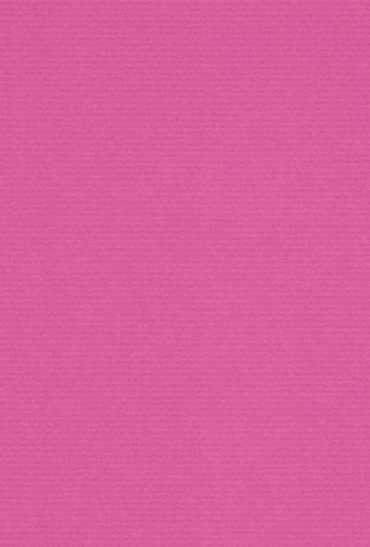 エスケント 色画用紙 ミューズコットン 厚口 八切 ときいろ 100枚 41080031