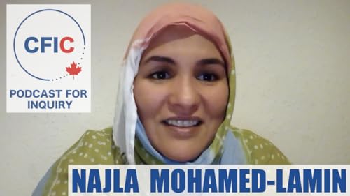 Sahrawis Fight for Western Sahara Rights in an Overwhelmed World, with Najla Mohamed-Lamin