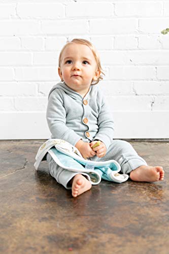 Copper Pearl Baby Security Blanket Set of 2 - Portable Size for Self-Soothing On-The-Go, Ideal Baby Blankets for Boys and Girls, Ultra-Soft, and Gift-Ready Loveys - Chip - Thumbnail 4