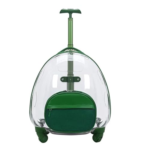 Mochila Transparente para Transporte de Animais de Estimação (Verde Transparente)