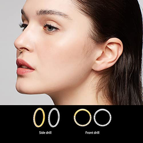 Dghera 2Pcs G23 Titanium Nose Ring Cz 16G Hinged Septum Clicker Segment Ear Tragus Cartilage Helix Daith Lip Nose Body Piercing Jewelry Gold 10Mm #TOP6