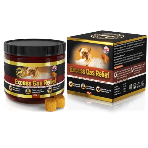 GastroBalance Hund blähungen – 60 weichen kausnacks gegen blähungen Hund 100% natürliche wirkstoffe (Bacon-Geschmack)