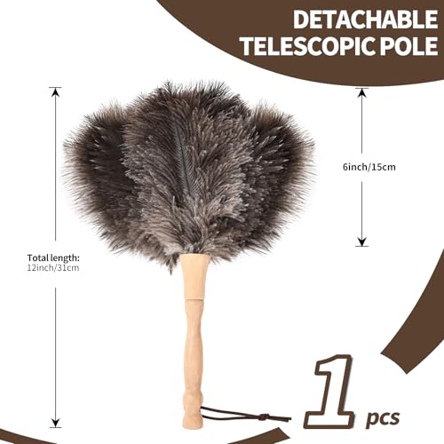 Image of Ostrich Feather Duster 12 Inch Handheld Duster Supplies, Wooden Handle Feather Duster for Cleaning Keyboard Home Car Office (Natural)
