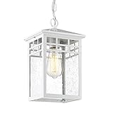 Diyel Outdoor Pendant Light Lanterns for Front Porch, White Exterior Hanging Light Fixtures with Seeded Glass Shade for Patio, Entryway, Garage, Gazebo, RZ009-H WH