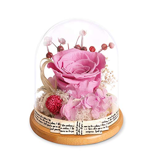 KING DOO Preserved Flowers Rose Gift for Mom Grandma Wife. Forever Eternal Light Purple Real Rose Present for Birthday Wedding Anniversary and Graduation