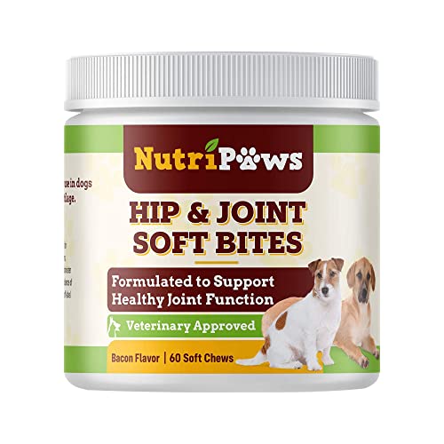 Top 10 Best Boswellia Supplement For Dogs in 2022 Just Loaded Blog