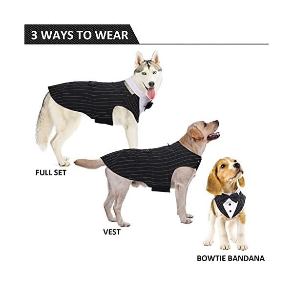 Dora bridal formal dog tuxedo for medium large dogs, labrador pet wedding party suit outfit with detachable bowtie collar neckerchief bandana, dress-up halloween costumes handsome elegant cosplay - image 3