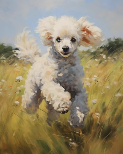 ZMHZMY Obra de arte digital al óleo, perro caniche, prado de hierba, pintura por números, perfecta para decoración de regalo, 40 x 50 cm, sin marco