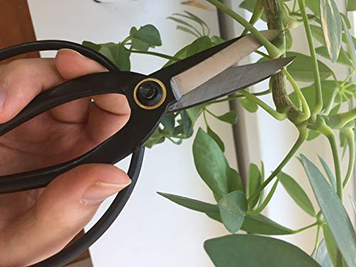 Garden Guru Professional Bonsai Scissors 180Mm - Traditional Butterfly Bonsai Pruner Shear For Precise Trimming Pruning And Deadheading Of Flowers Plants, Japanese Bonsai Garden Tools #TOP4