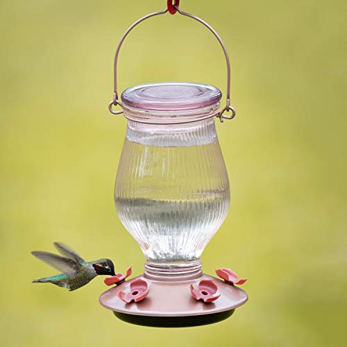 Perky-Pet 9104-2 Rose Gold Top-Fill Glass Hummingbird Feeder Rose Gold 24 Oz Capacity thumb #5