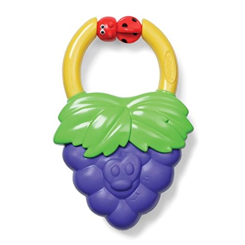 Vibrating Grape Teether