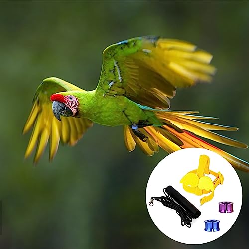 Pettorina Regolabile per Pappagalli, Imbracatura