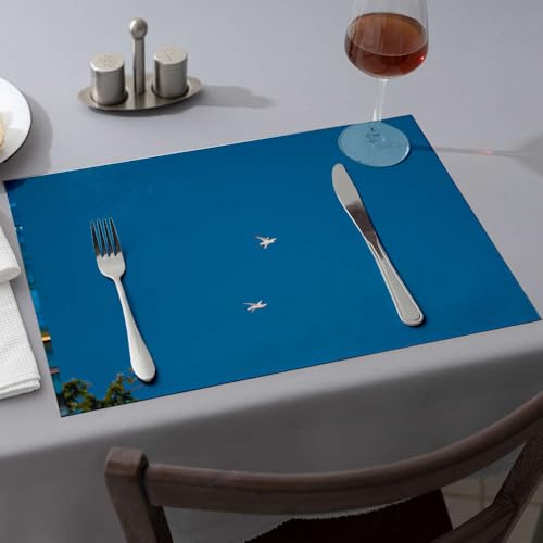 Sets de table lavables motif oiseaux rose protège table enfant repas facile