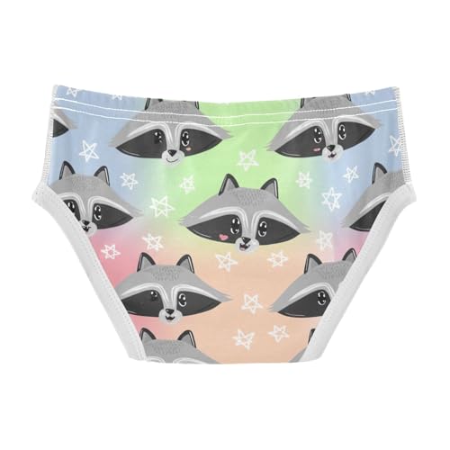 CHIFIGNO Boys Cotton Underwear Printed Briefs Soft Underwear Briefs for Toddler Boy, Cute Cartoon Raccoon Pastel2